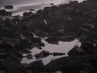 19103