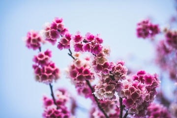 5314