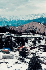 1978