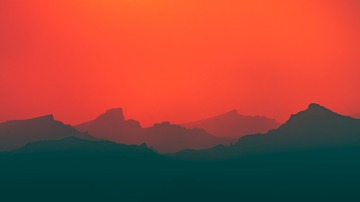 334