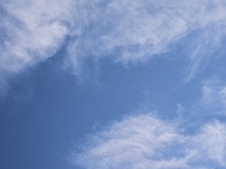 567