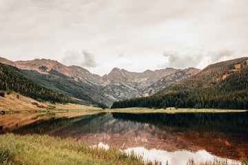 1209
