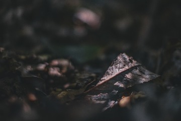 58582