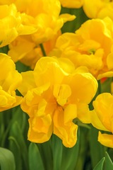 758