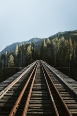 67754