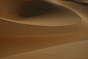 23842