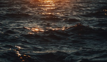 30919