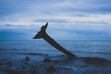 11330