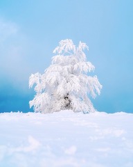 9343