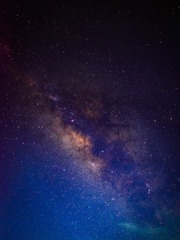 55949