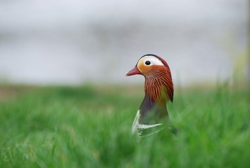 5739
