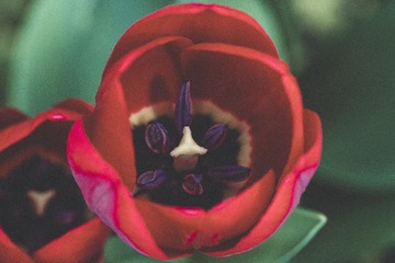 1305
