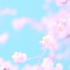 4590