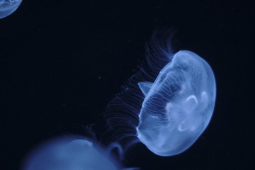 69802
