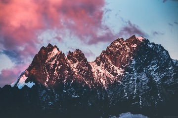 2628