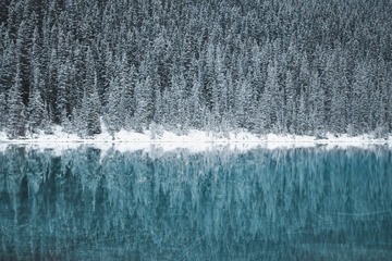 60600
