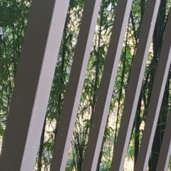723251