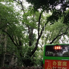 730099