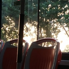 730181