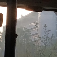 730191