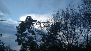 1390715