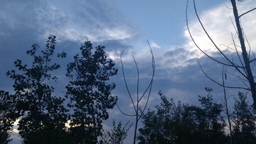 1390714
