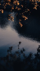 1833578