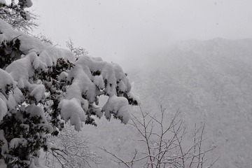 C19E8CD7-E69D-42C4-82AA-9905810628B7/L0/001