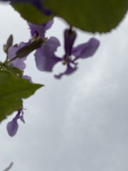 C231537F-26C2-467D-97D1-8F2C90AD6385/L0/001