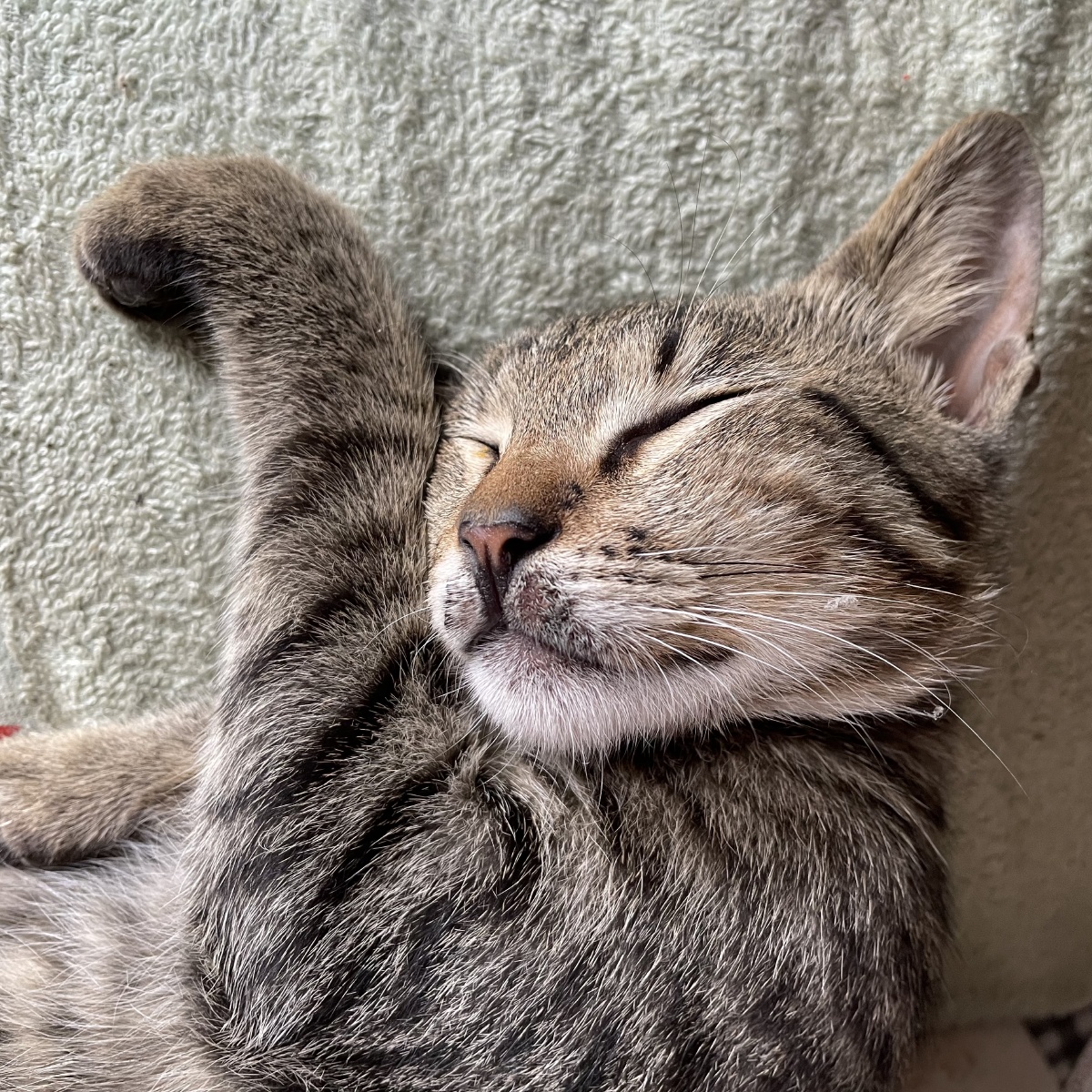 whoami,whoamI和whoiam的区别 whoami,whoamI和whoiam的区别