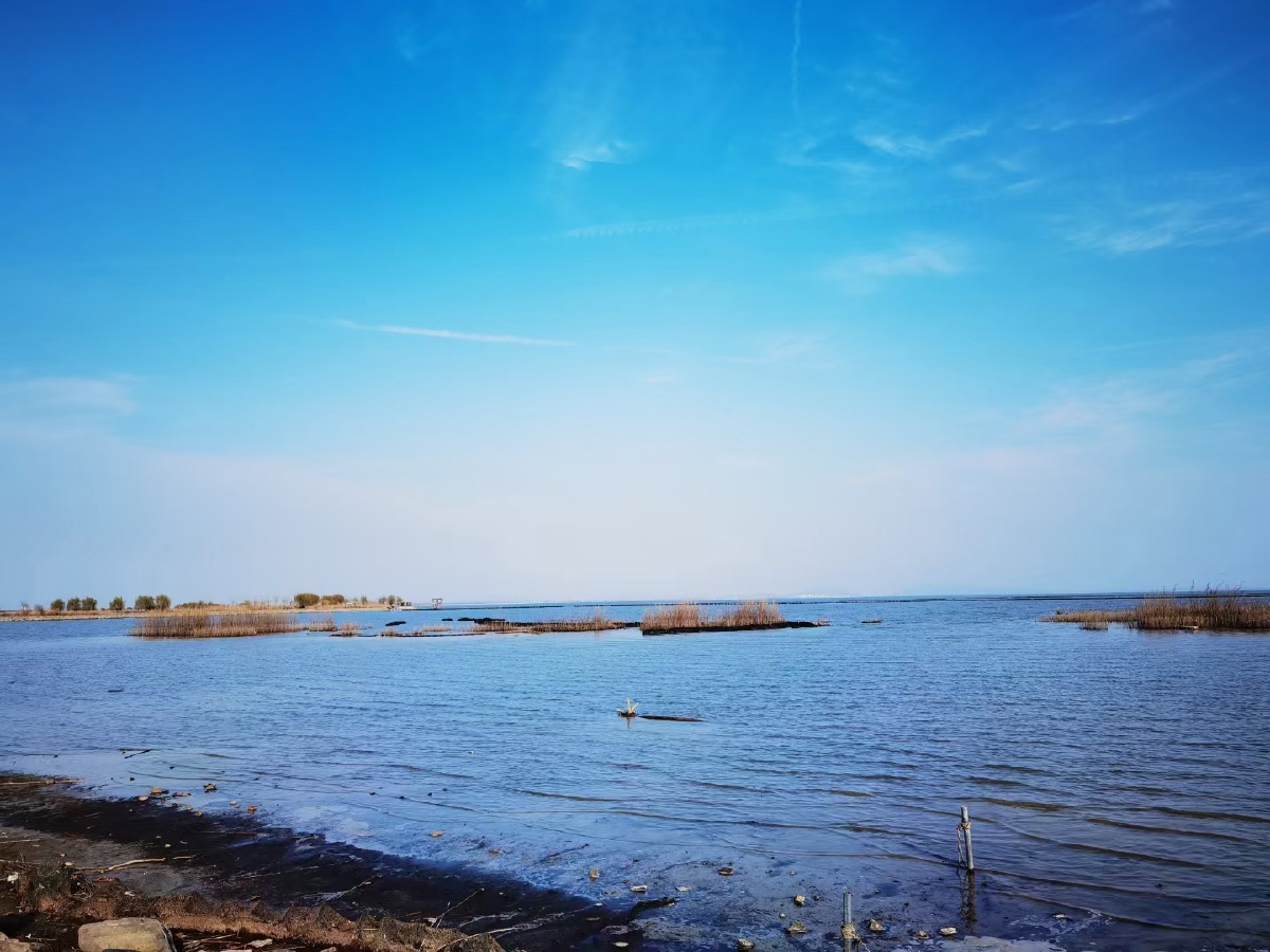 发现你们真的很爱看风景.