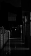 1E222FFF-B781-463E-B1B8-F93BD6394525/L0/001