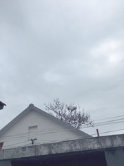 B195C979-2EAC-4266-8917-D8B2D514F7E7/L0/001