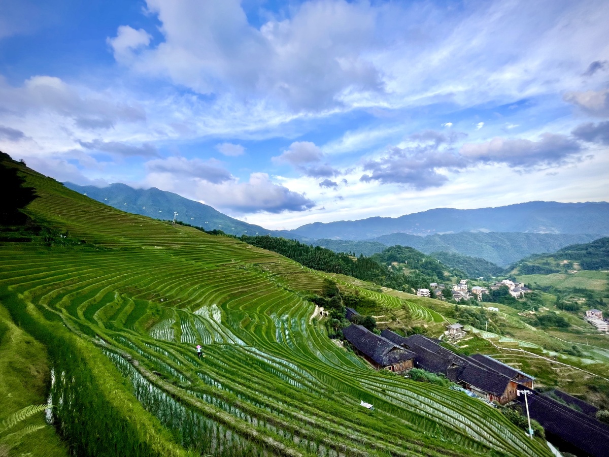 桂林龙胜龙脊梯田田野乡村梯田