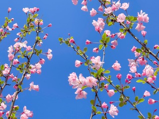 F2D8A220-C691-4110-9B99-3A6C75FD4E48