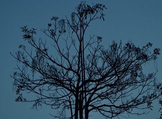 475B4268-9D3C-4DC3-BDF3-339E8D448844/L0/001