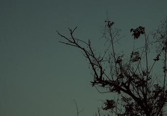 2C93F6ED-9357-4F60-B728-AAAFD8FC350F/L0/001