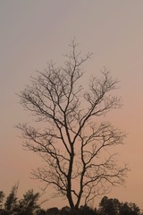 BF05AD8C-A489-4CA9-941A-9DA533FBD17A/L0/001