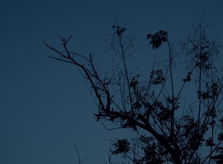6F1B9C83-E1A8-4153-B4F5-E565F9EA7558/L0/001