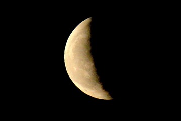 10F82AD6-3566-4D70-AAA5-12D525F7CEAA/L0/001