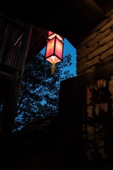 7D66312D-B380-49B3-ADBD-1EDDD64552FA/L0/001