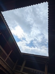 1000024341