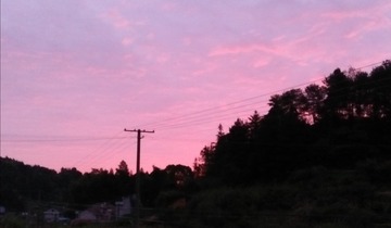 63083