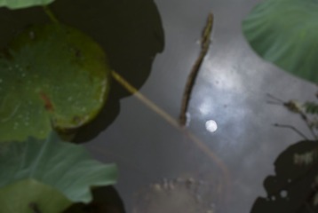 我和太阳的邂逅