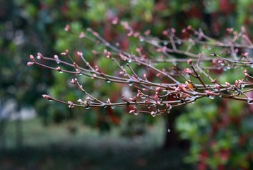 _DSC0841.jpg