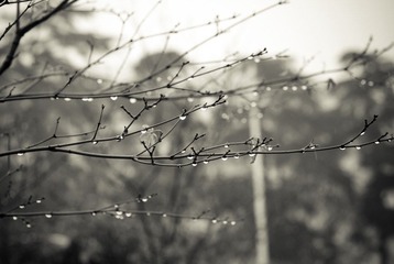 _DSC0842.jpg