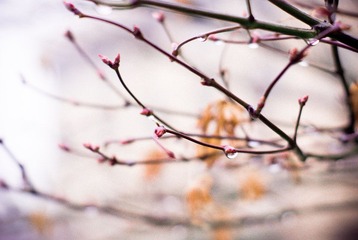 _DSC0840.jpg