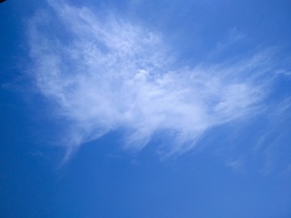 1043046