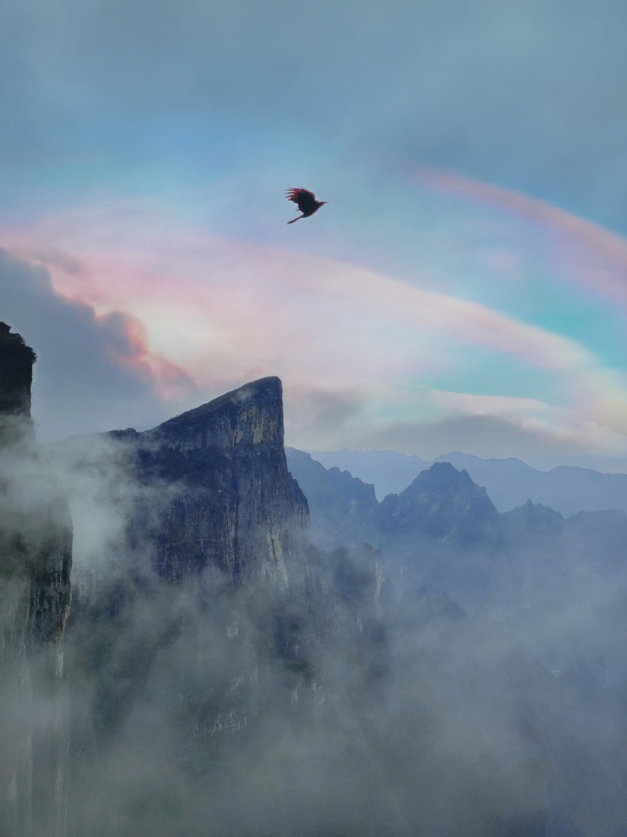 天门山偶遇飞鸟