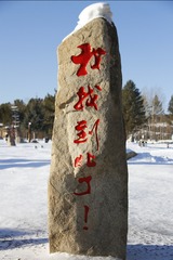 1000232867
